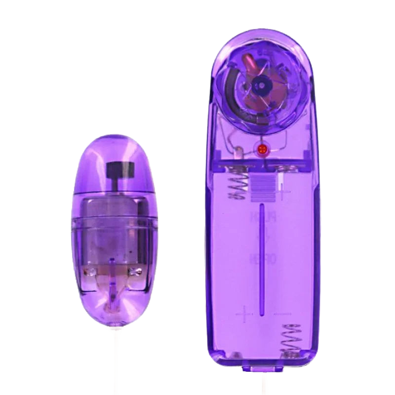Transparent purple wireless remote control with matching bullet vibrator showing internal components