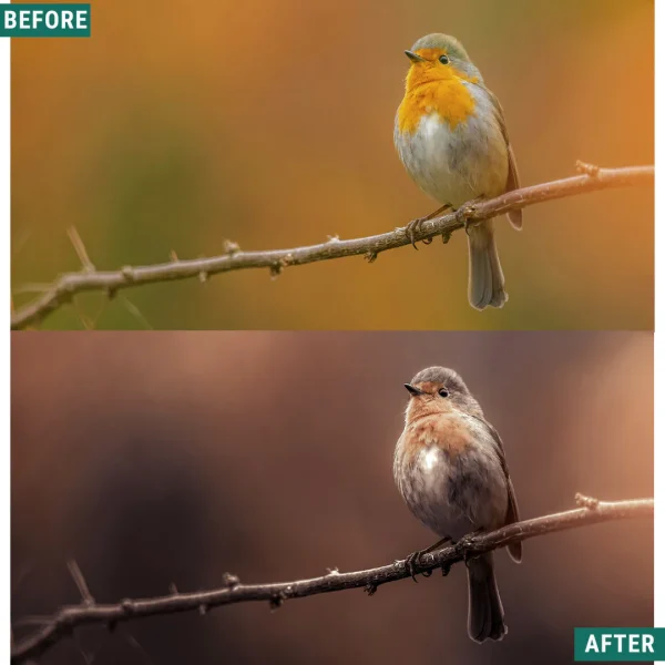 200 “premium” lightroom presets