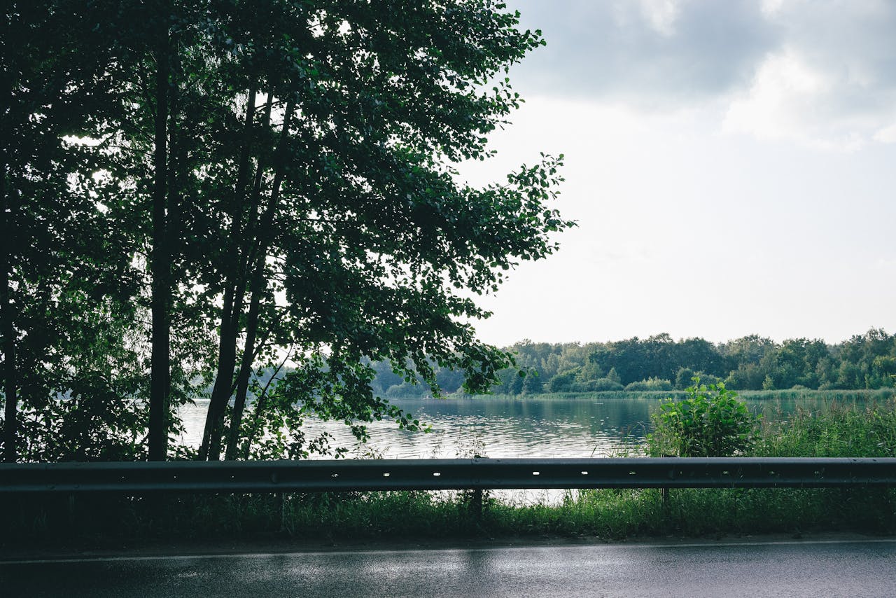 heros-img A peaceful lakeside view with lush trees and a quiet roadside, capturing the beauty of nature.